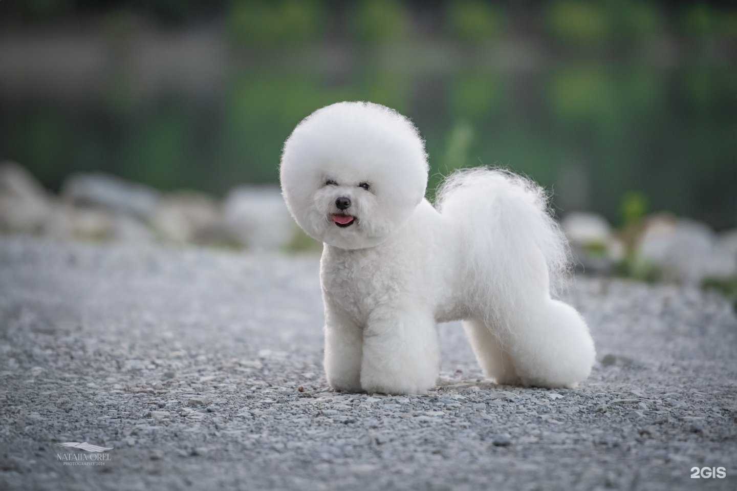 Отзывы на компанию Гла`Мур в г. Астрахань c фото