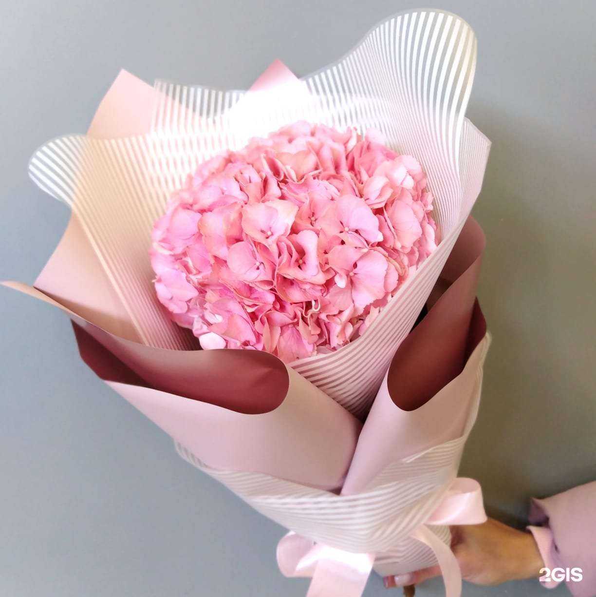 Отзывы на компанию Ирис в Нижневартовске c фото