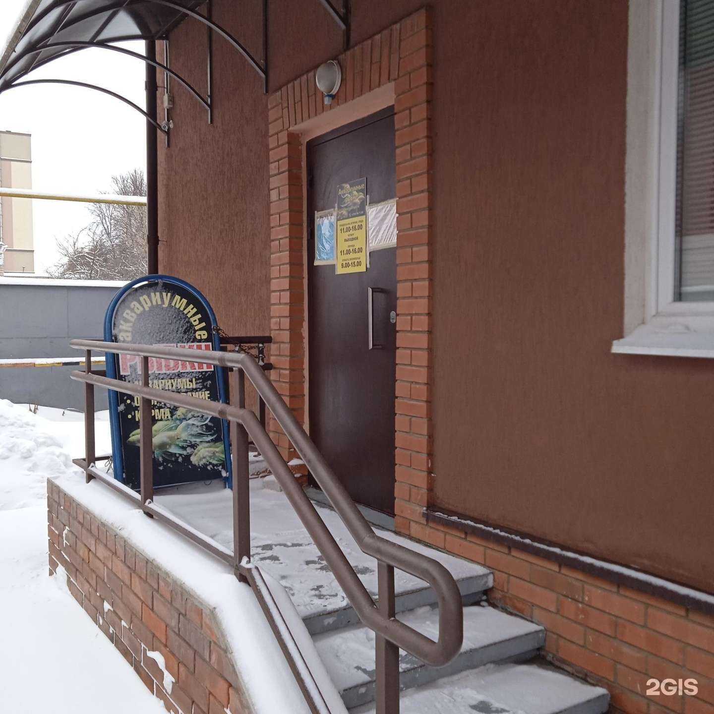 Отзывы на компанию Магазин по продаже аквариумных рыбок в Иванове c фото