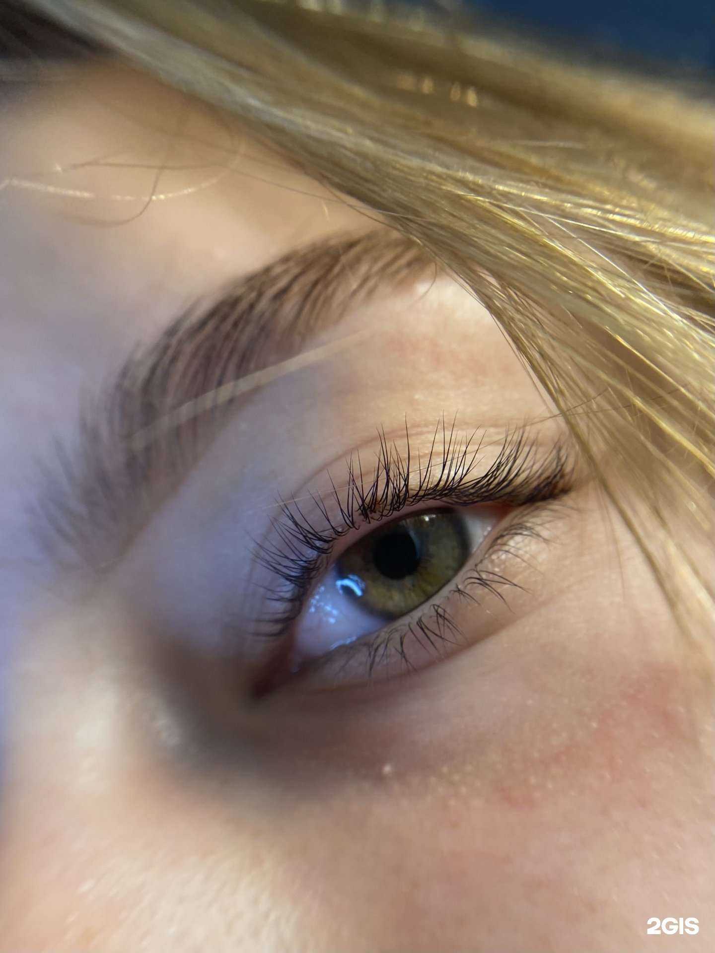 Отзывы на компанию polly.brrows в Барнауле c фото