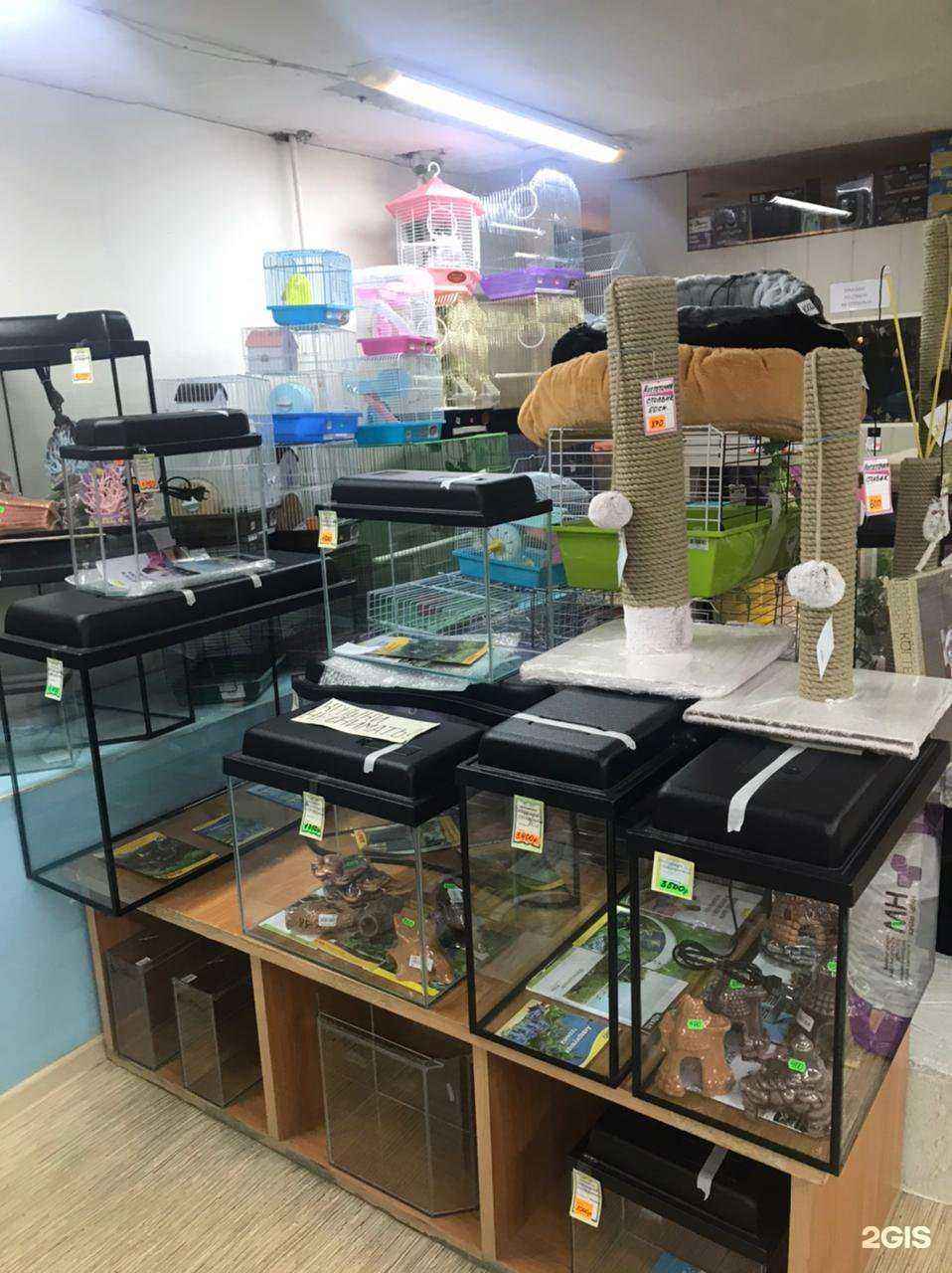 Отзывы на компанию Джунгли в г. Новосибирск c фото