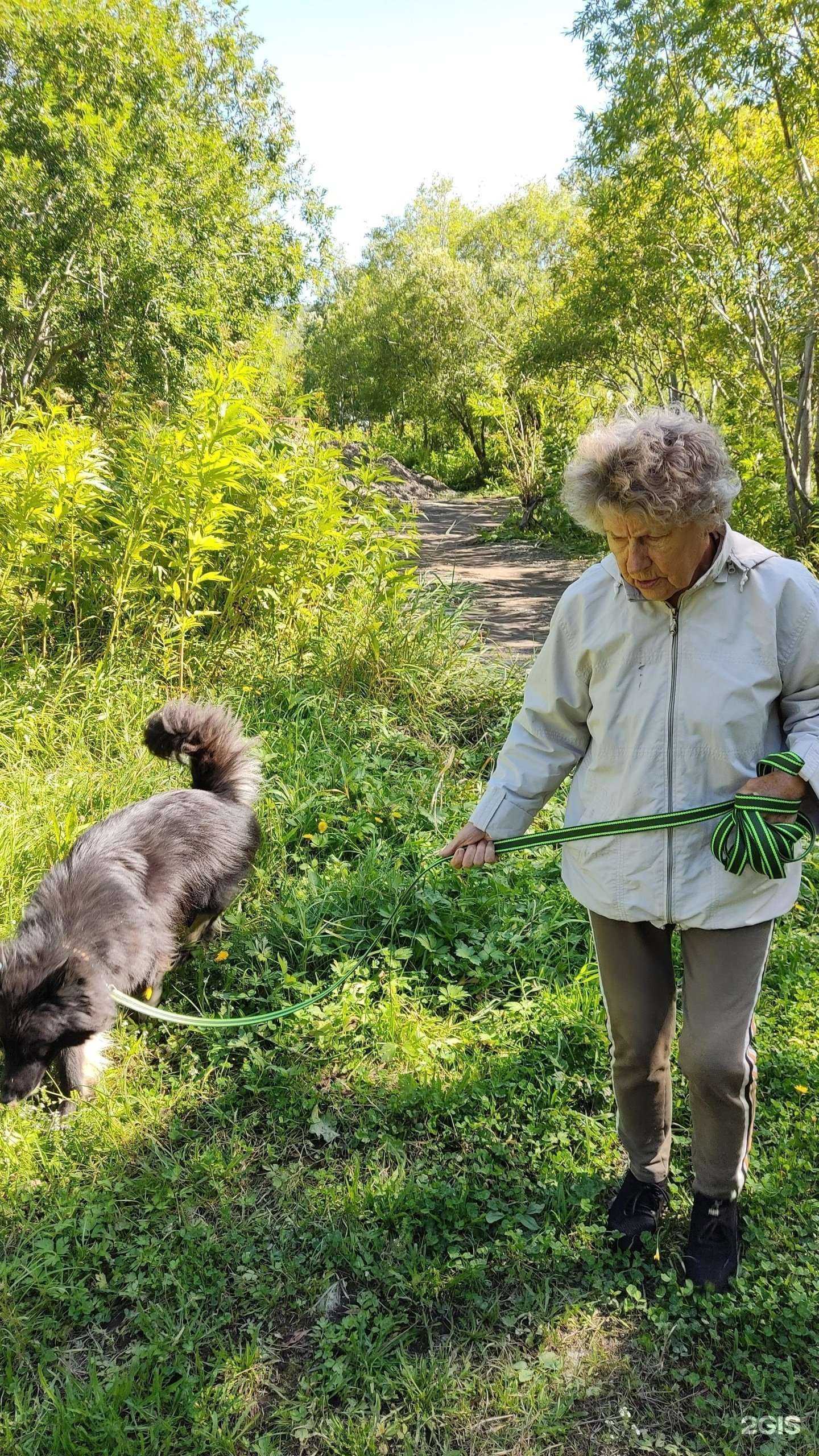 Отзывы на компанию Собачкино в г. Петропавловск-Камчатский c фото
