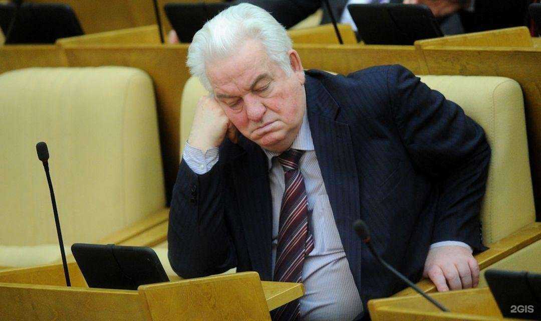 Отзывы на компанию Легал-Сервис в Владивостоке c фото