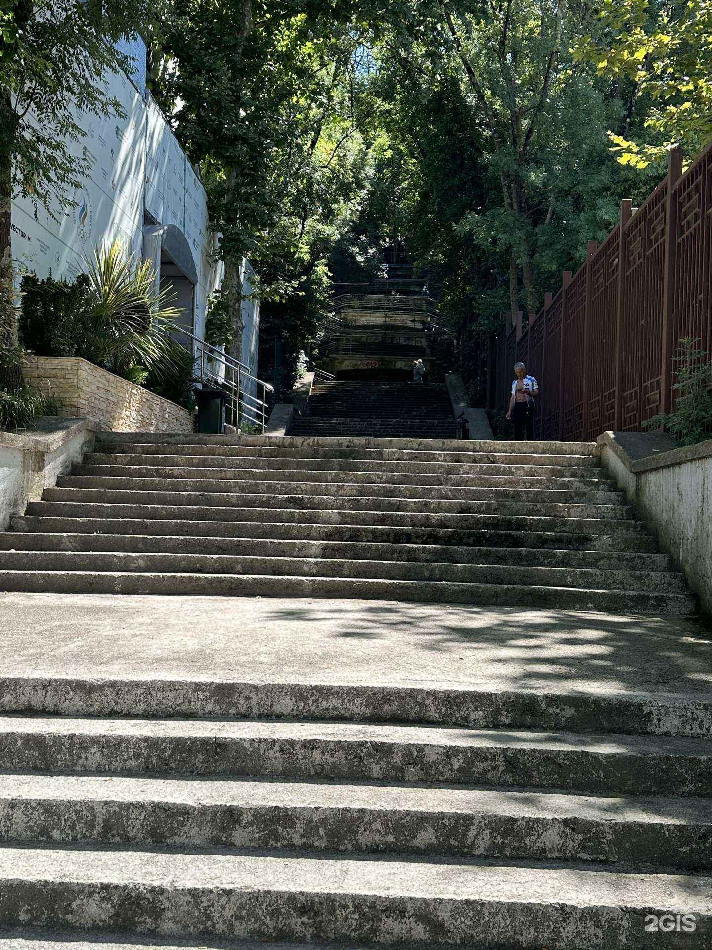 Отзывы на компанию SwimStar в Сочи c фото - фотография 2 из 2