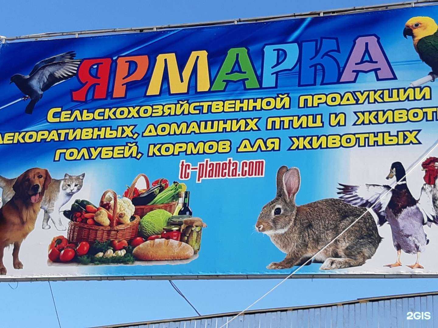 Отзывы на компанию Цветочная ярмарка в г. Краснодар c фото