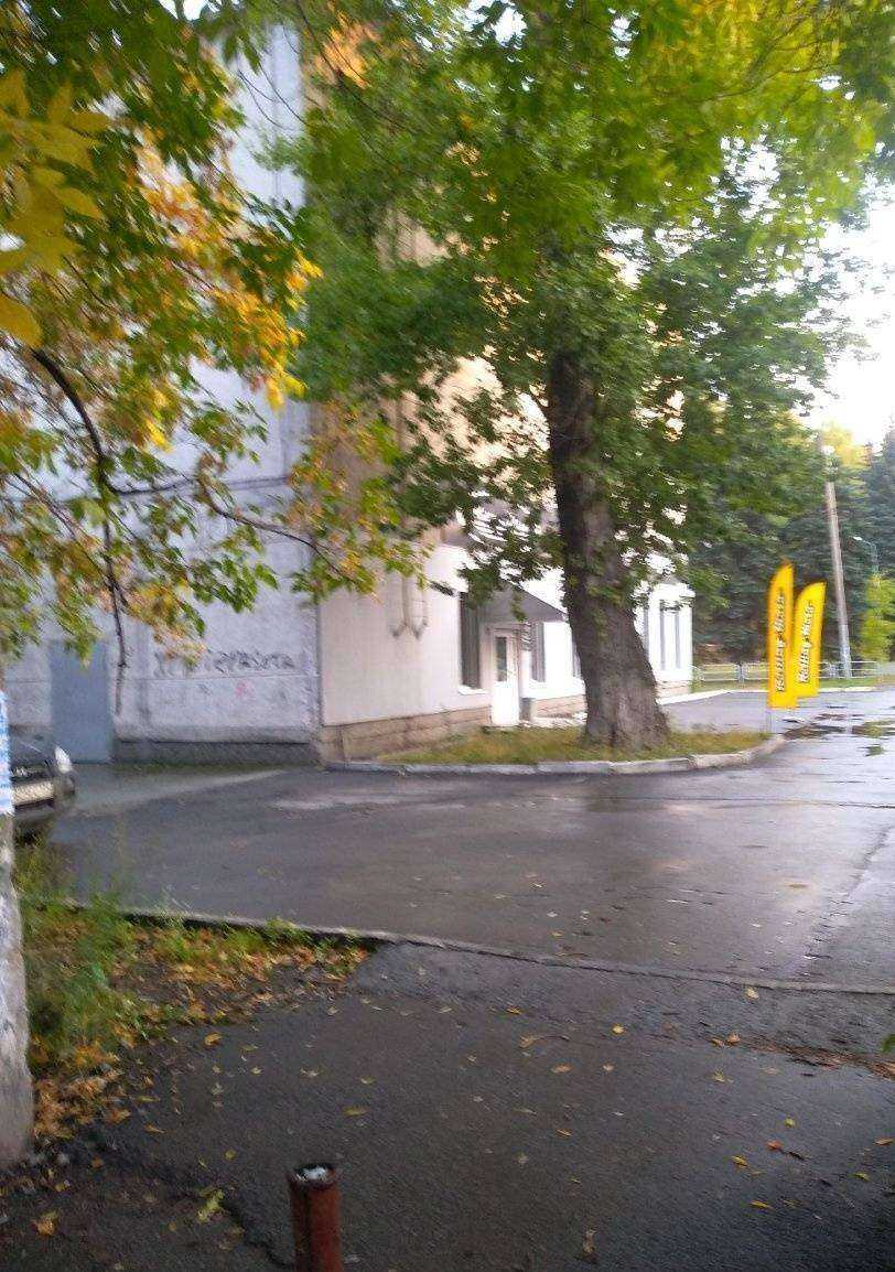 Отзывы на компанию Челяблесопт в Челябинске c фото - фотография 2 из 2