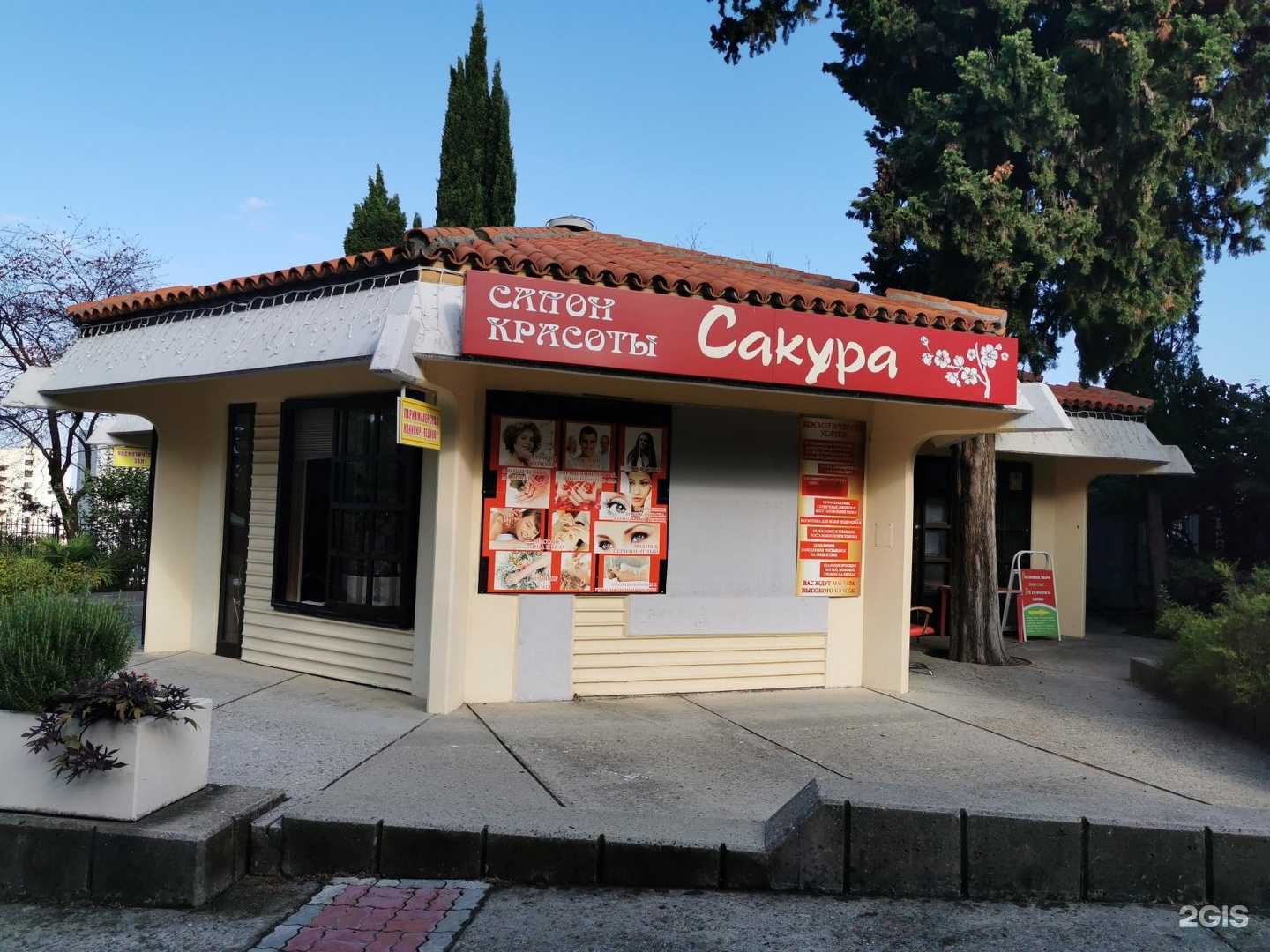 Отзывы на компанию Сакура в Сочи c фото - фотография 2 из 2