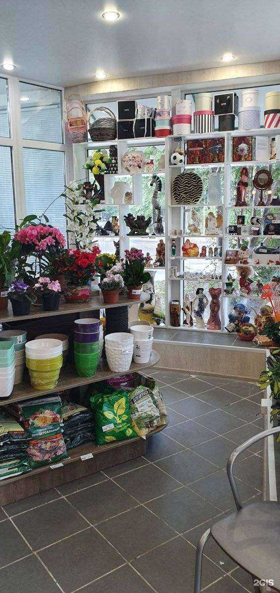 Отзывы на компанию Донна Фло в г. Тюмень c фото