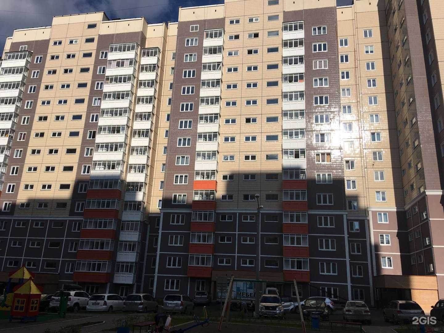 Отзывы на компанию Дог имидж в Красноярске c фото - фотография 2 из 2