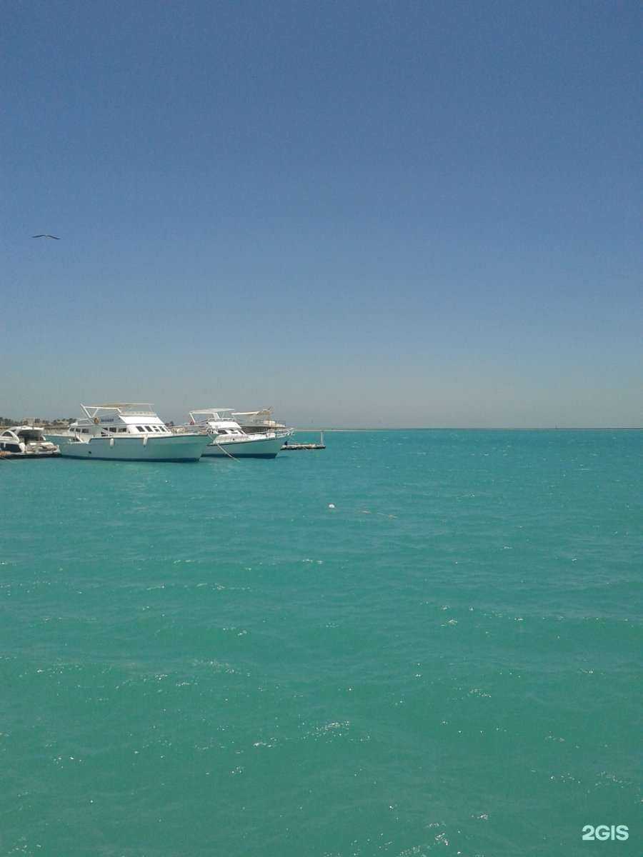 Отзывы на компанию Глобус 21 в г. Миасс c фото