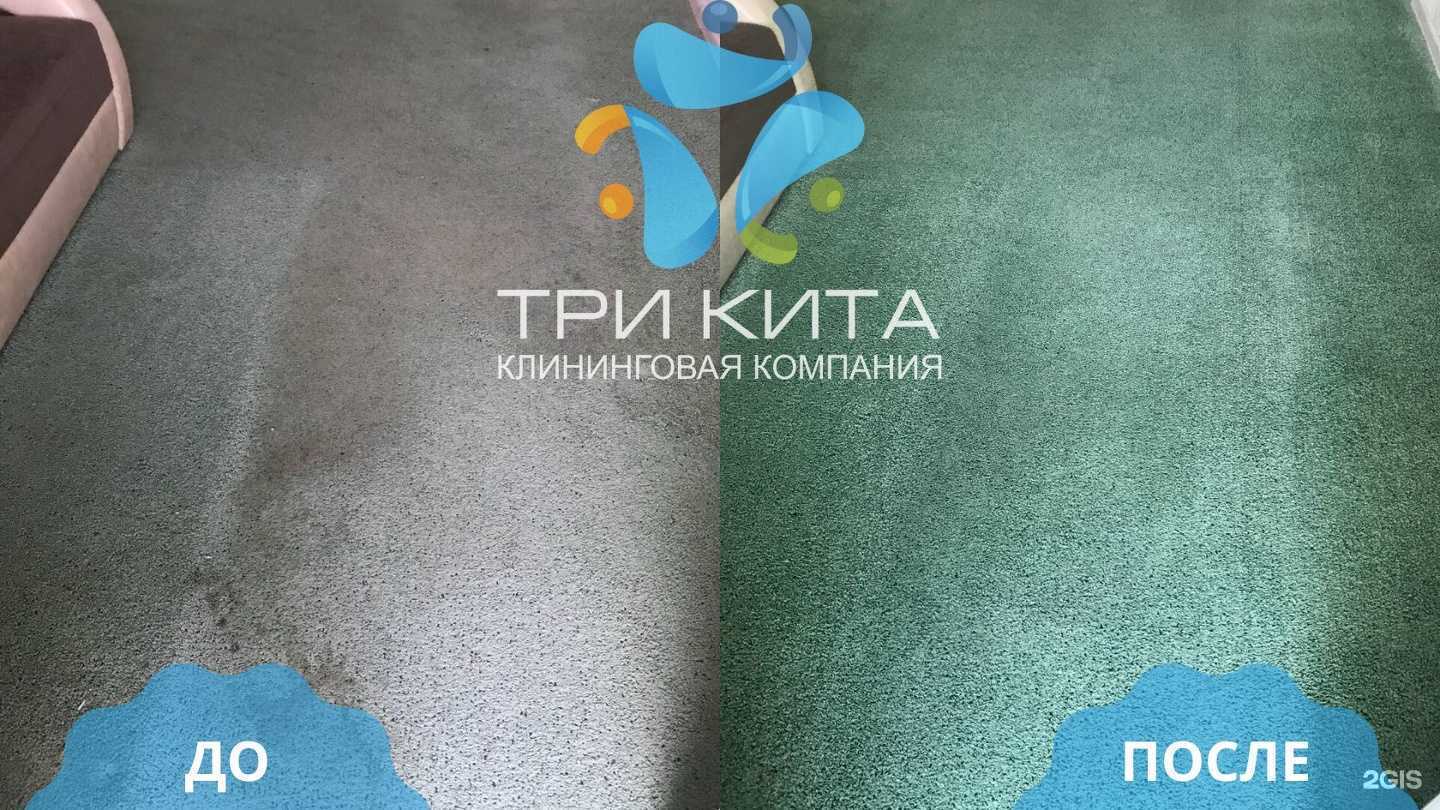 Отзывы на компанию Три Кита в Ставрополе c фото