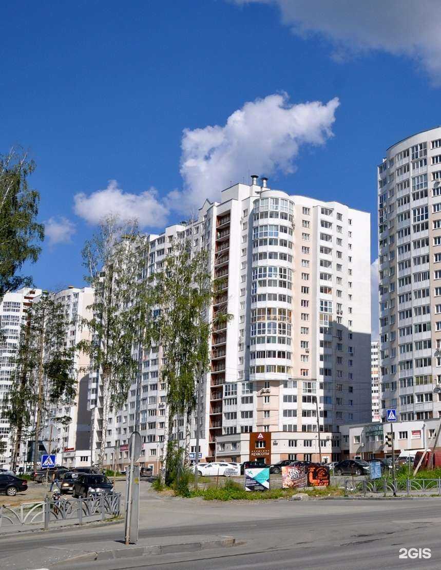 Отзывы на компанию Сытый кот в Екатеринбурге c фото - фотография 2 из 2