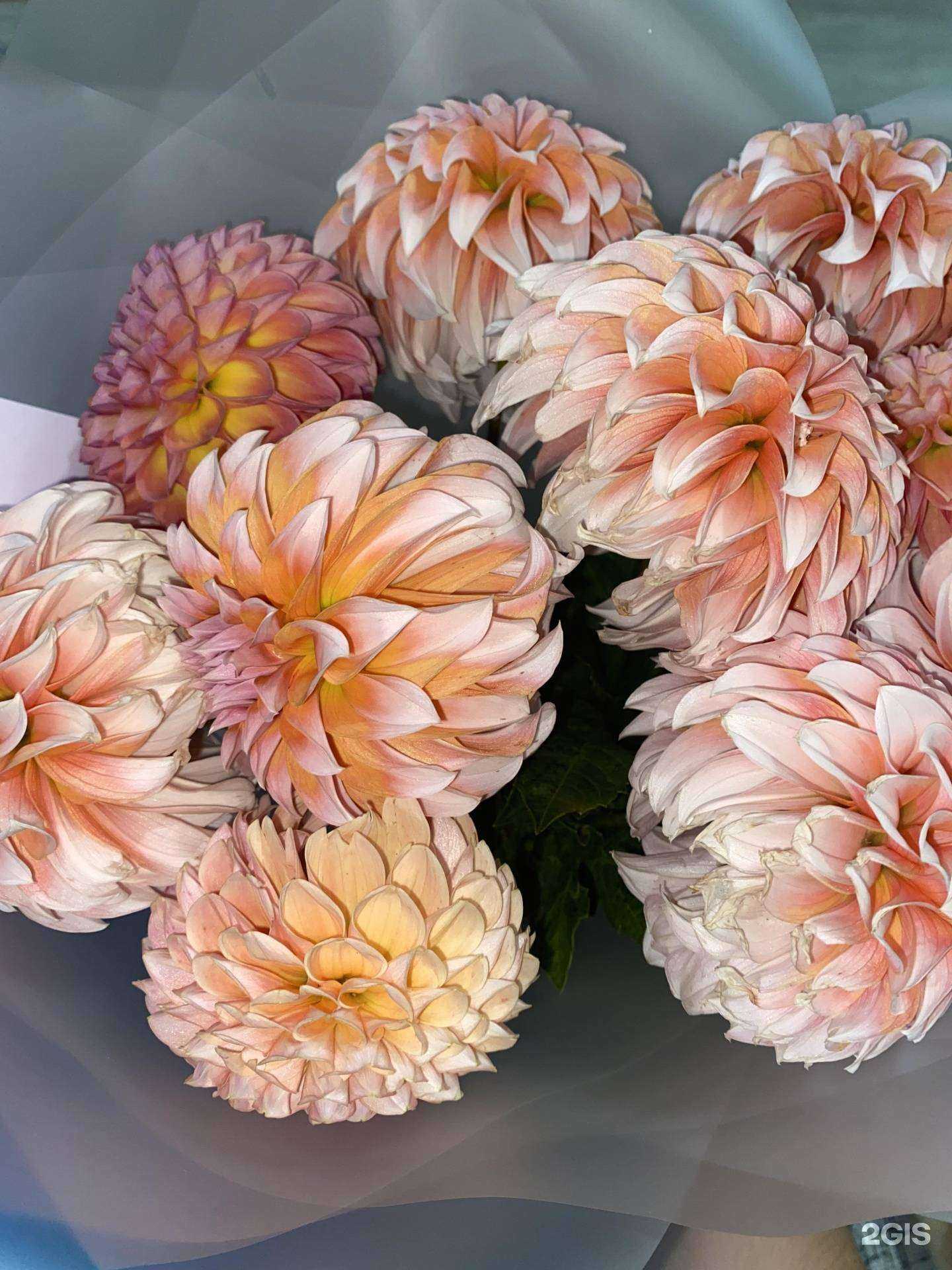 Отзывы на компанию Мир цветов в г. Саратов c фото