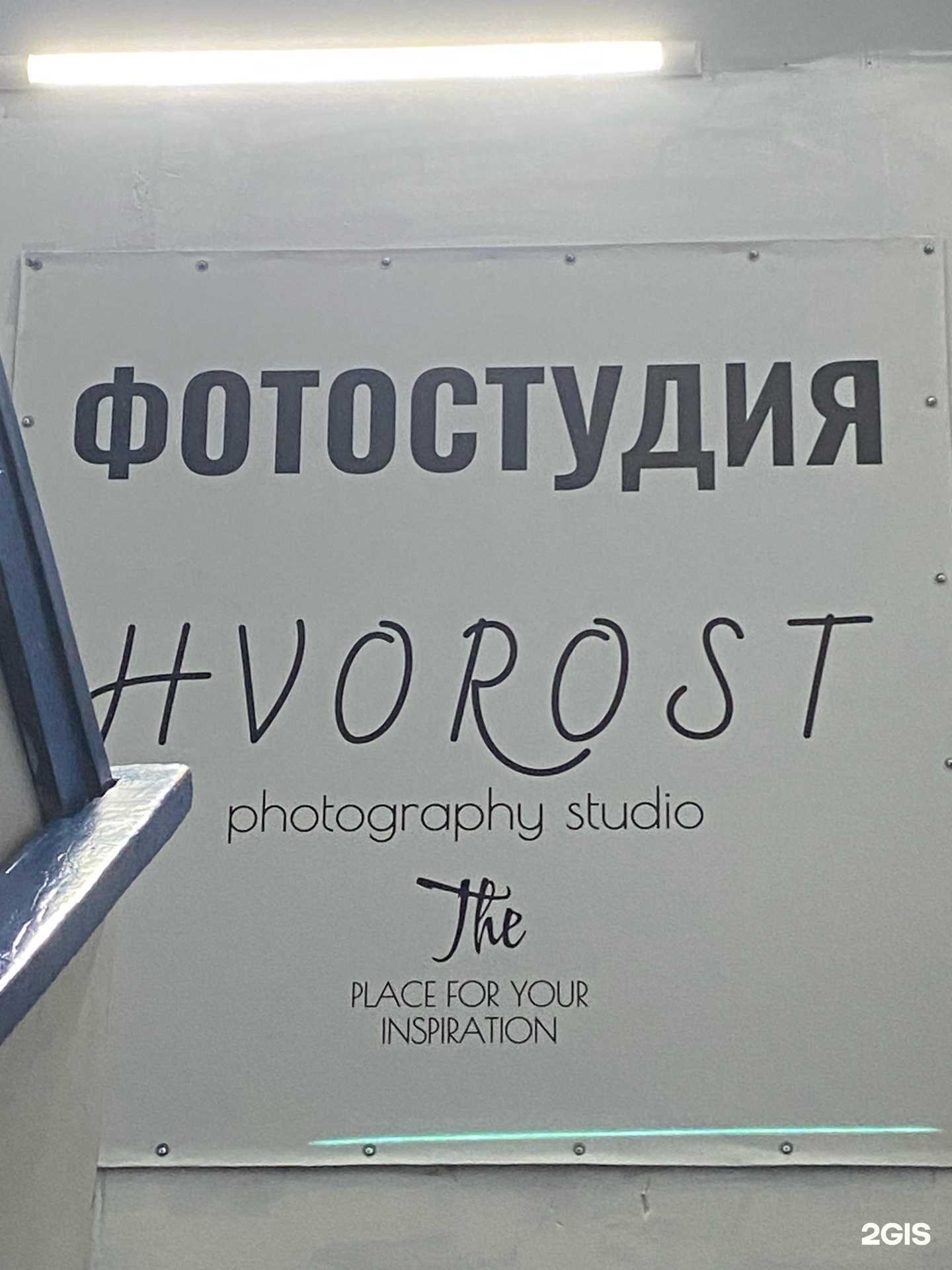 Отзывы на компанию Папа Медведь в Новокузнецке c фото - фотография 2 из 2