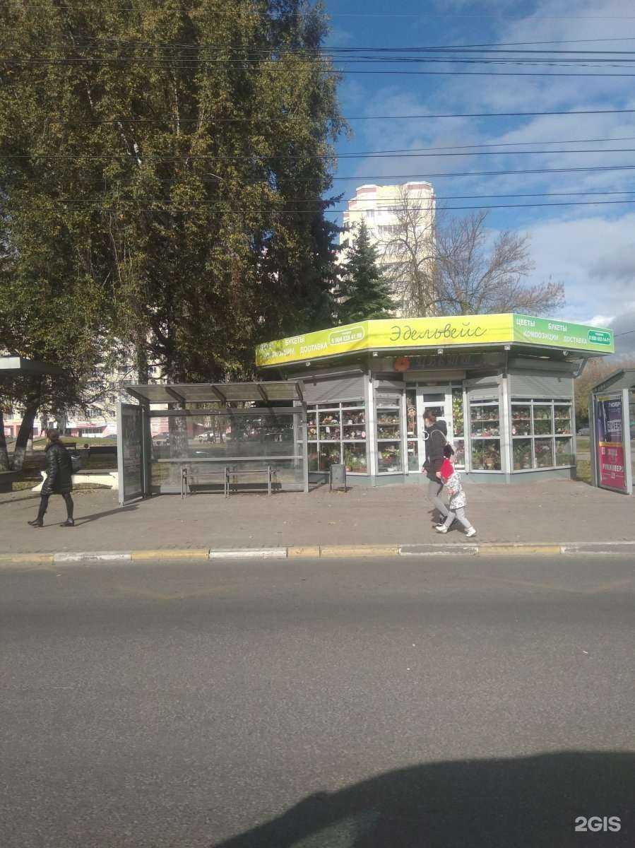 Отзывы на компанию Эдельвейс в Твери c фото