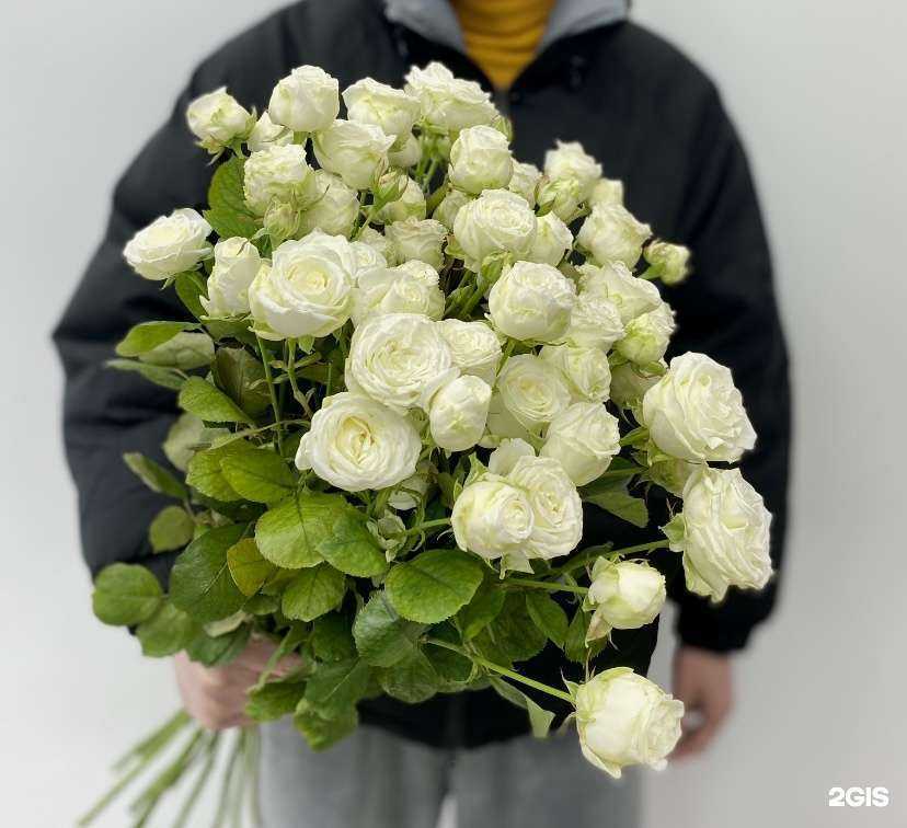 Отзывы на компанию Trava в Набережных Челнах c фото