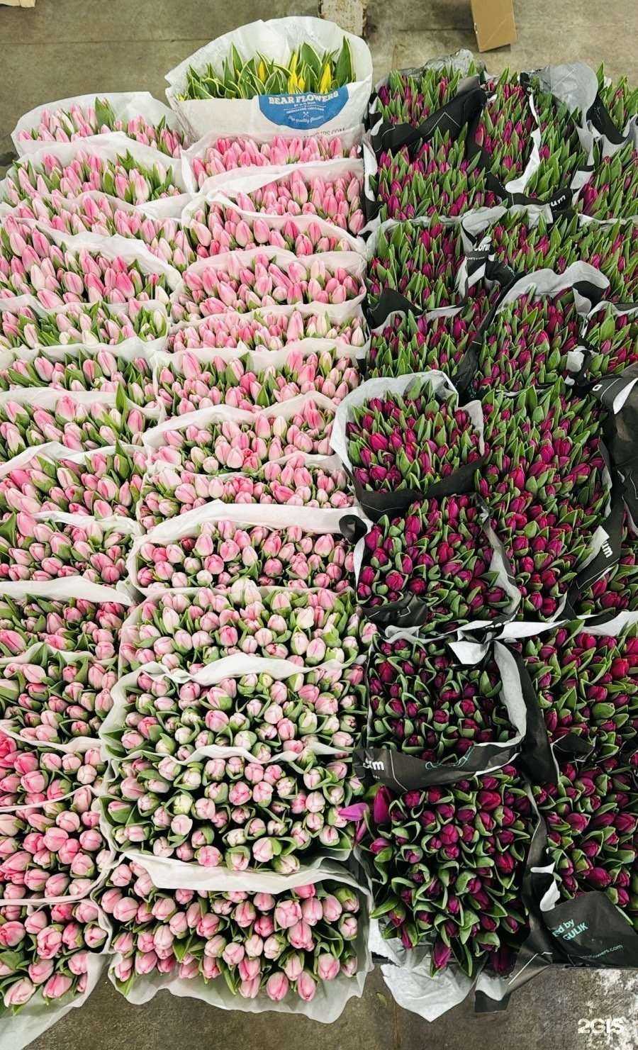 Отзывы на компанию ШароКс в г. Краснодар c фото