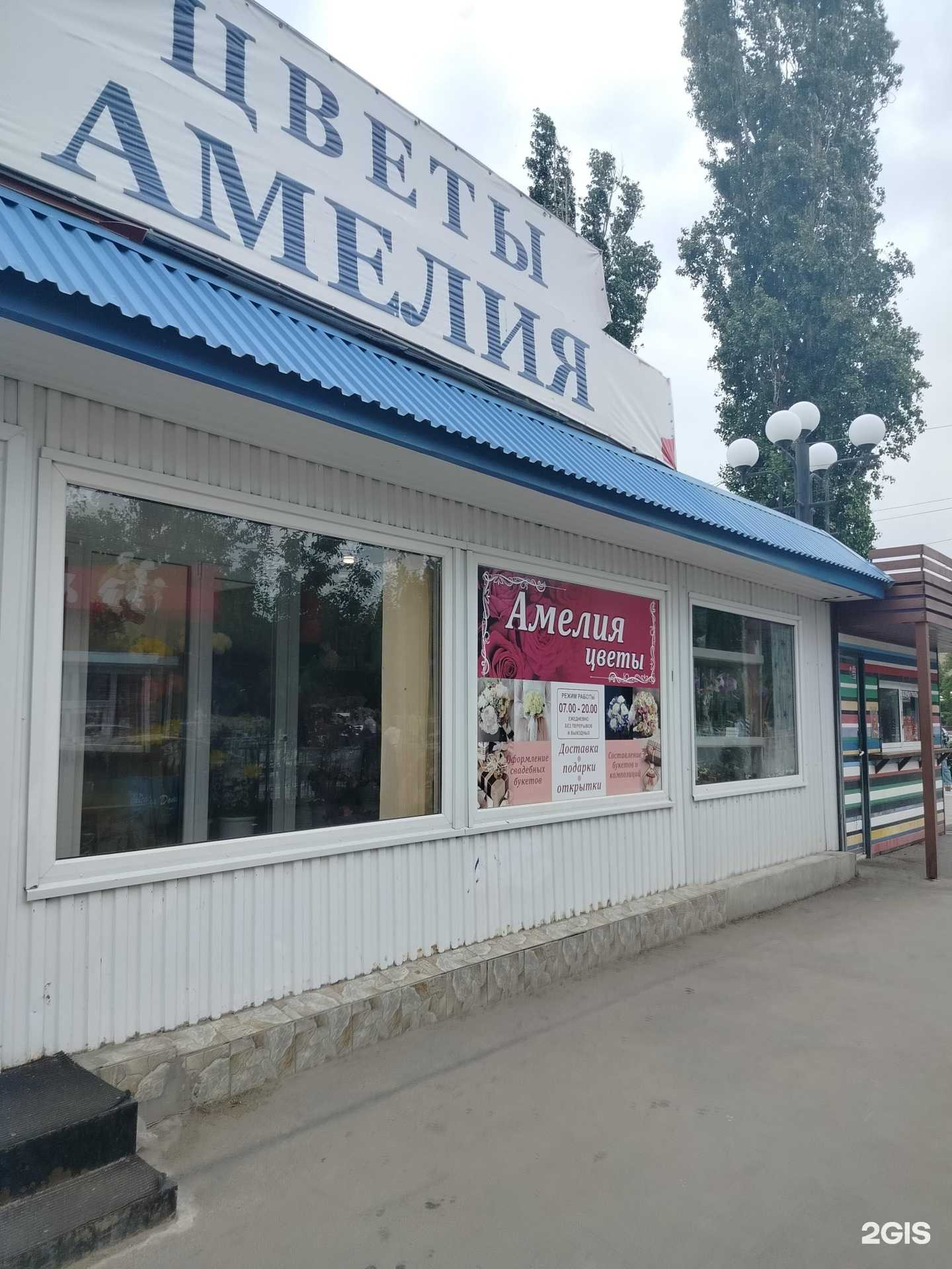 Отзывы на компанию Амелия в Балакове c фото