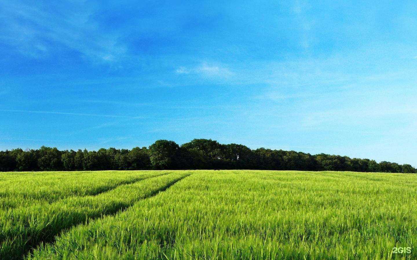 Отзывы на компанию Эко-вектор в г. Новосибирск c фото