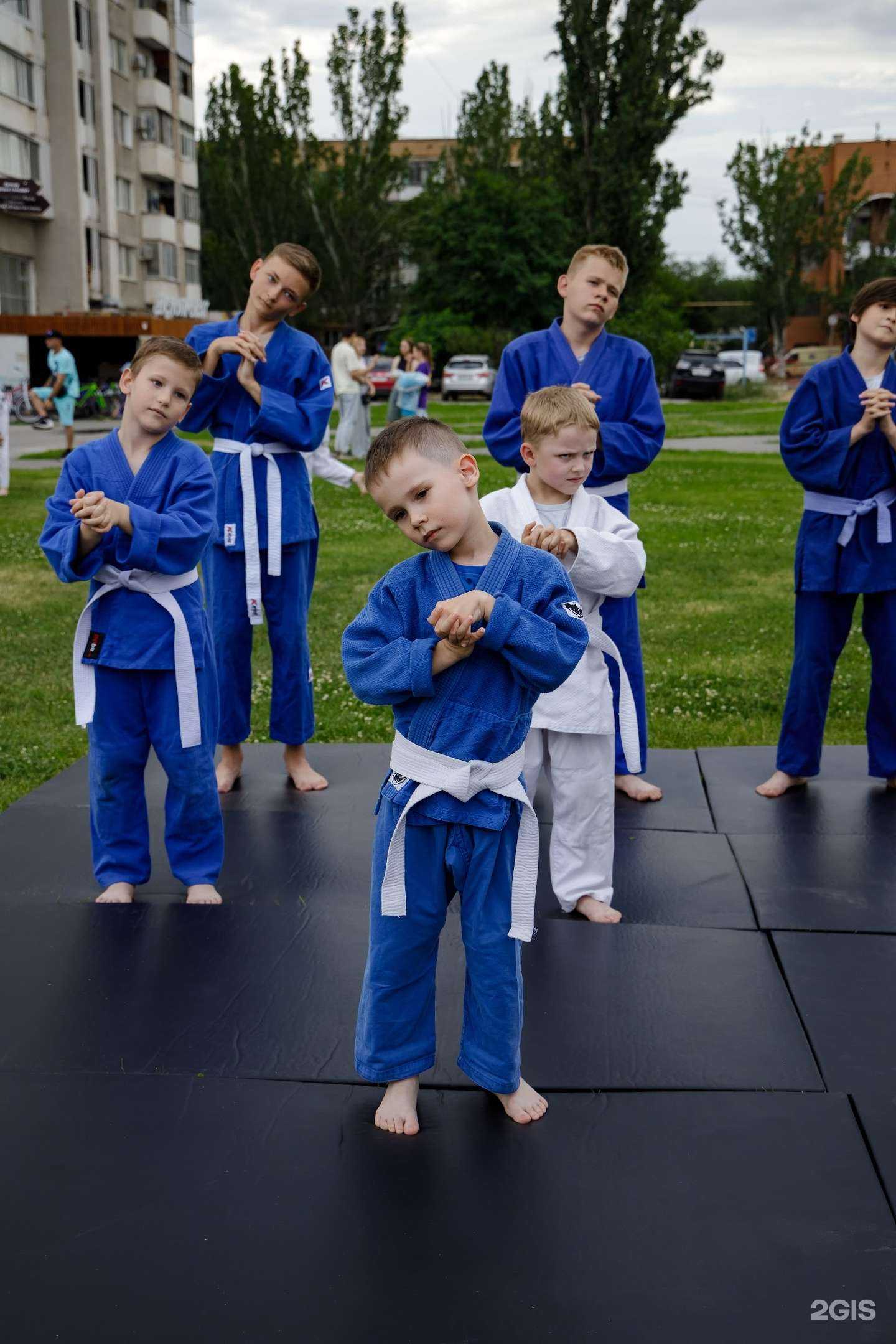 Отзывы на компанию Дзюдока в Волжском c фото