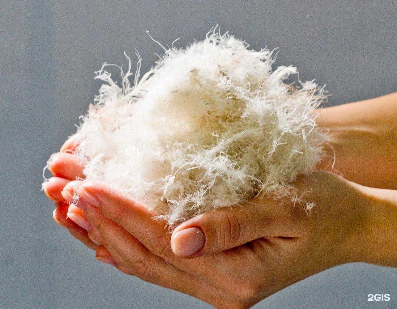 Отзывы на компанию Boss Sleep в г. Иркутск c фото