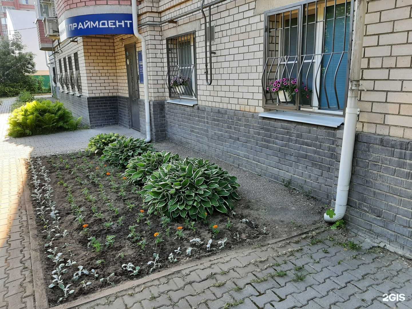 Отзывы на компанию Праймдент в Ярославле c фото