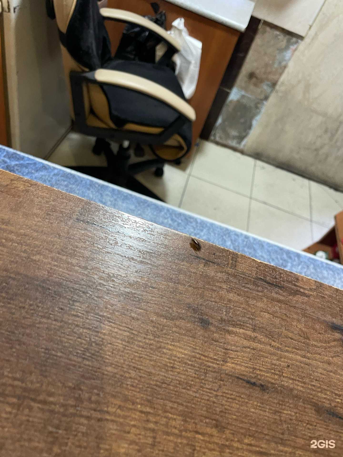 Отзывы на компанию Шашлычок в Новосибирске c фото