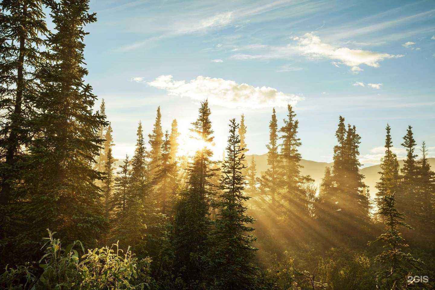 Отзывы на компанию Дрим Дом в Кирове c фото