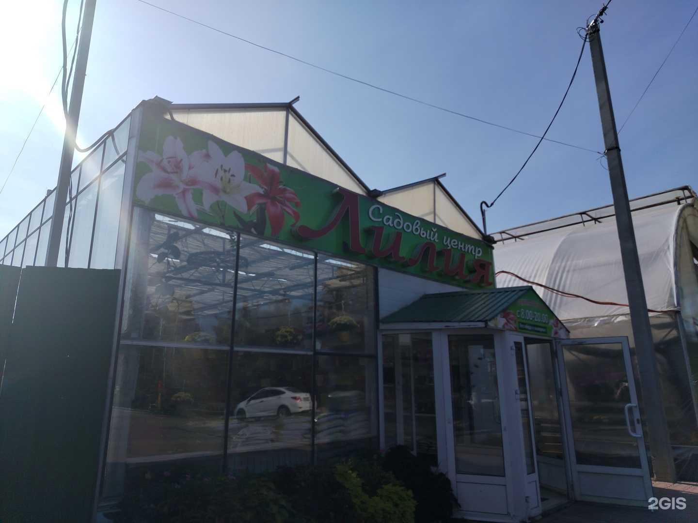 Отзывы на компанию Лилия в Сарапуле c фото