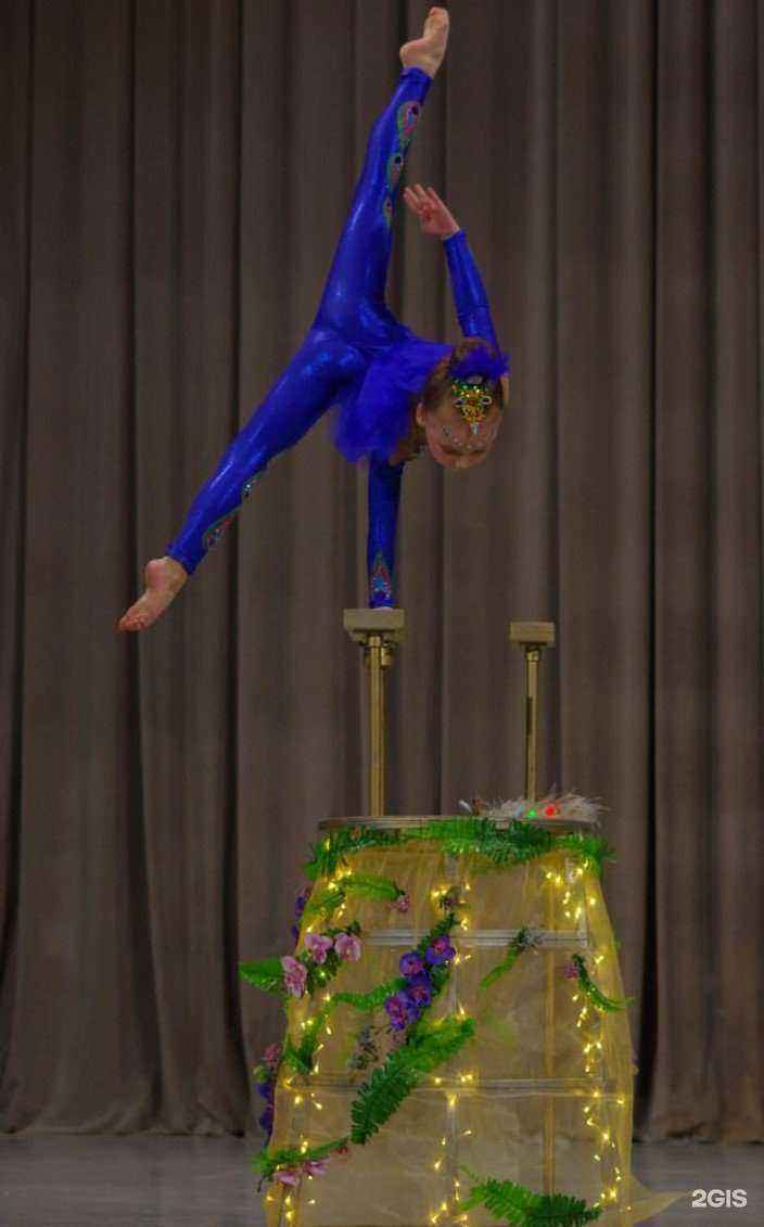 Отзывы на компанию Арлекино-kids в Барнауле c фото