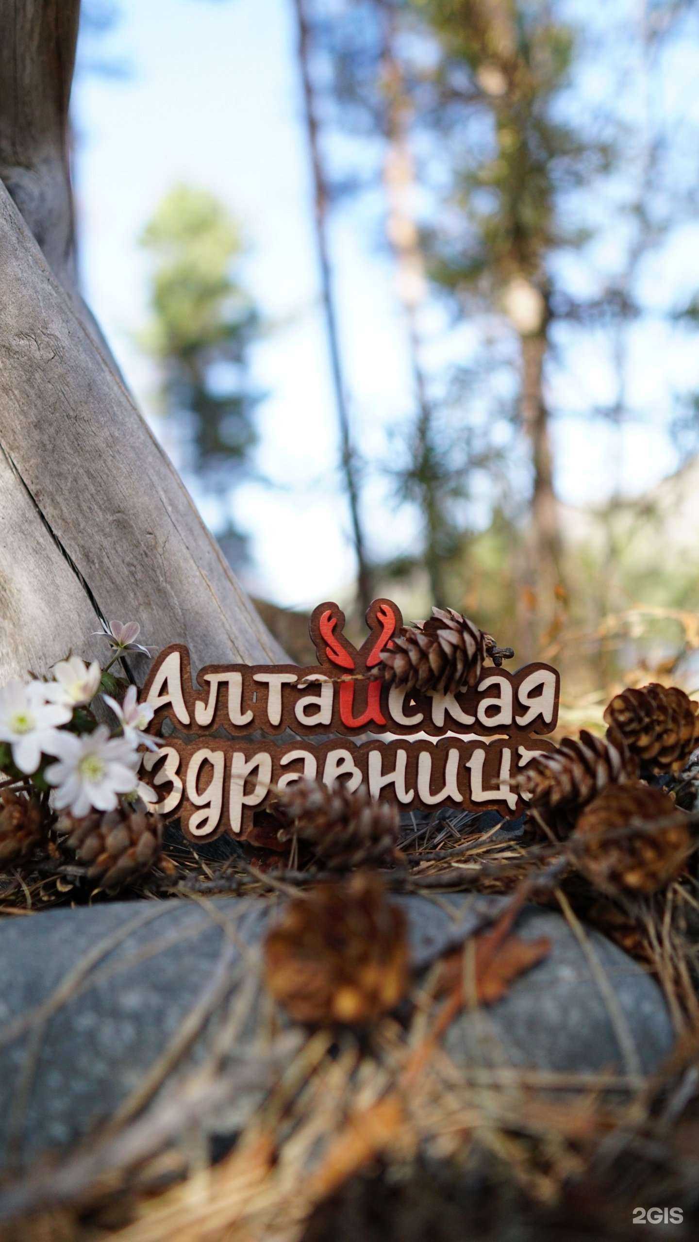 Отзывы на компанию Алтайская здравница в Новокузнецке c фото