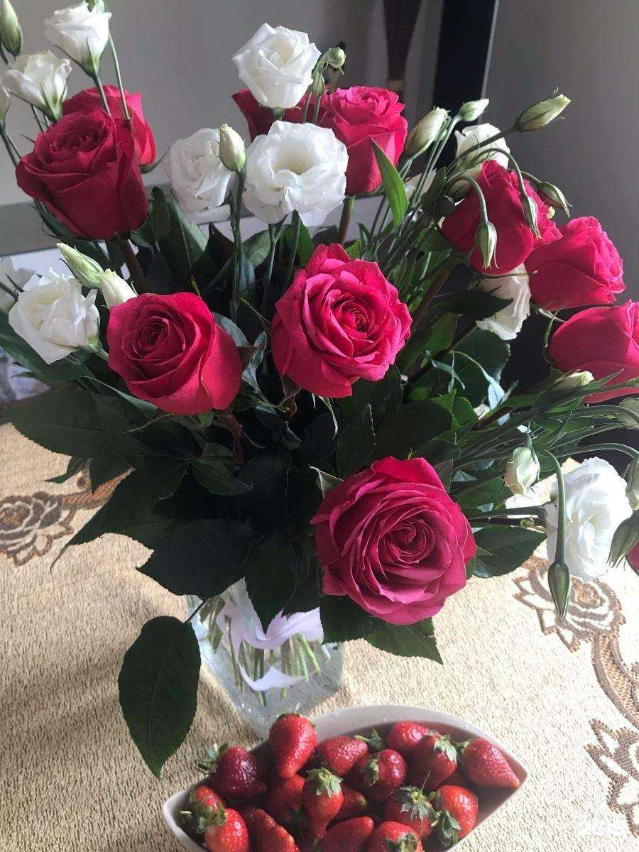 Отзывы на компанию Клумба в Кемерове c фото