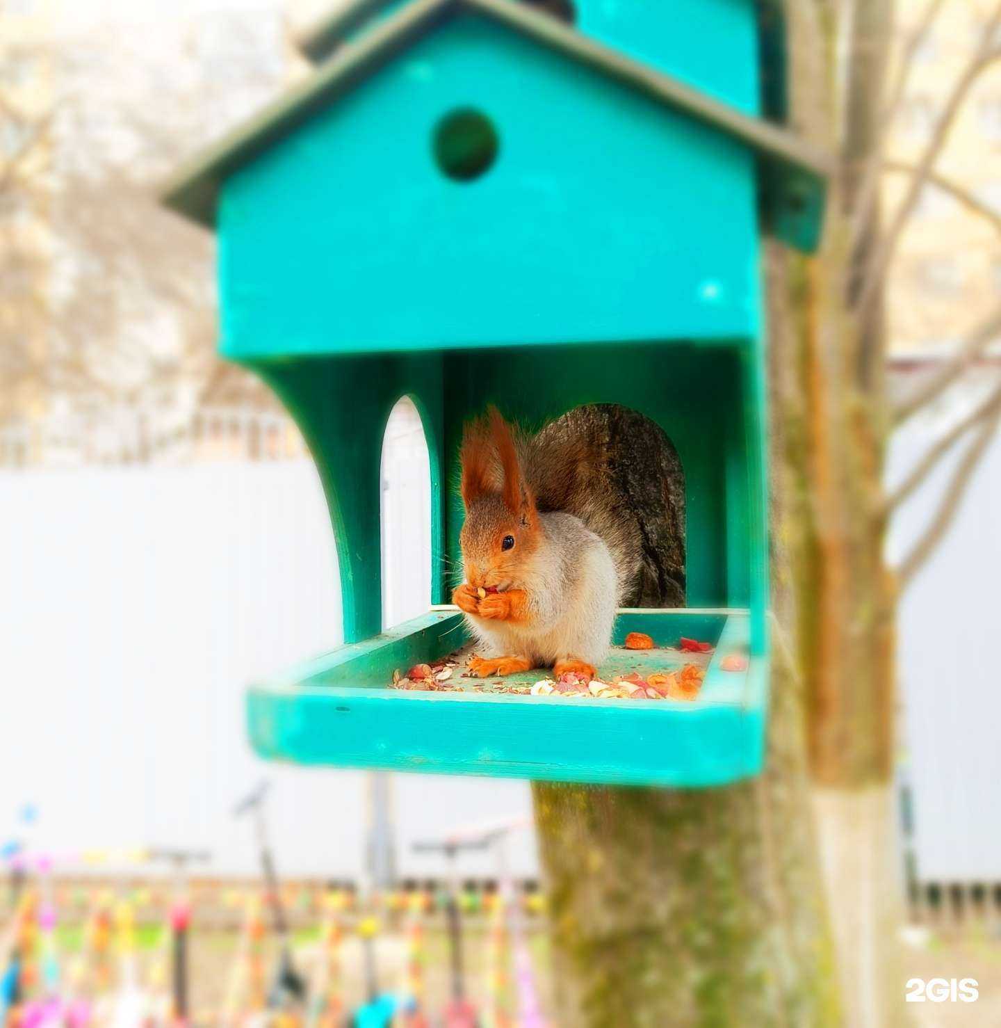 Отзывы на компанию Детский сад №1 комбинированного вида в Краснодаре c фото