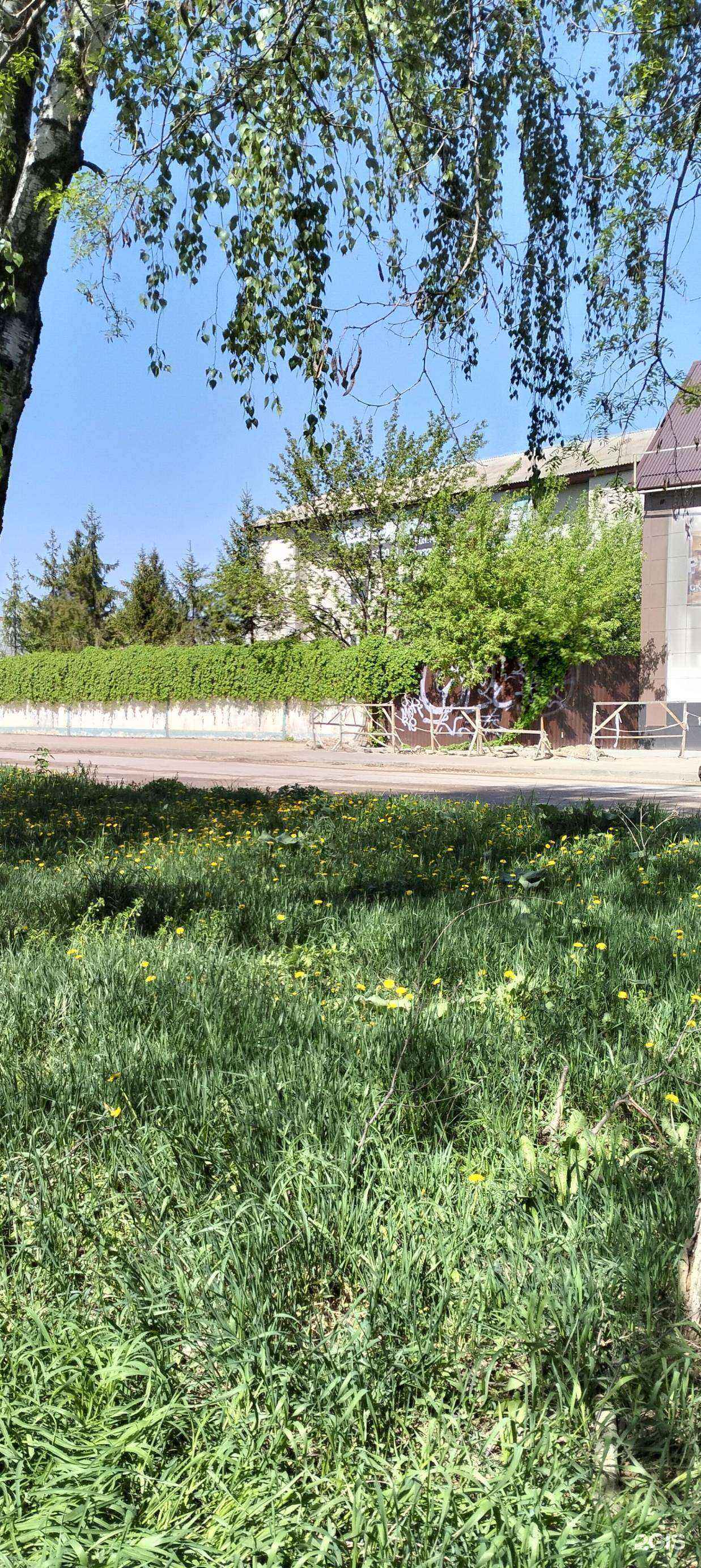 Отзывы на компанию АльфаОпт в Тамбове c фото