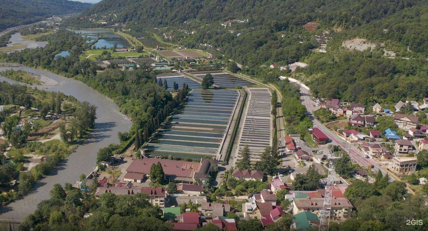 Отзывы на компанию Золотая рыбка в Сочи c фото