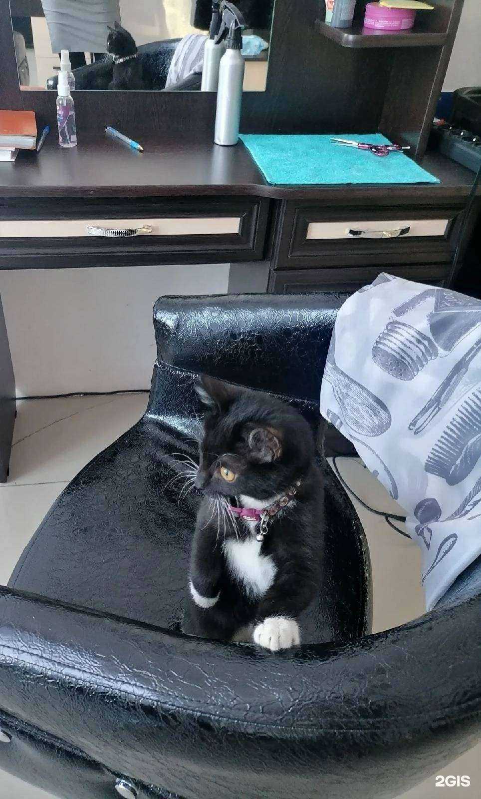 Отзывы на компанию пЧёлка в Иркутске c фото