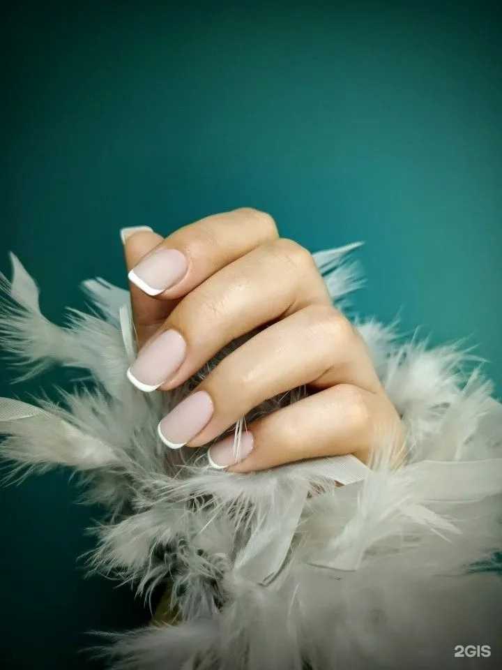 Отзывы на компанию Molli в Краснодаре c фото