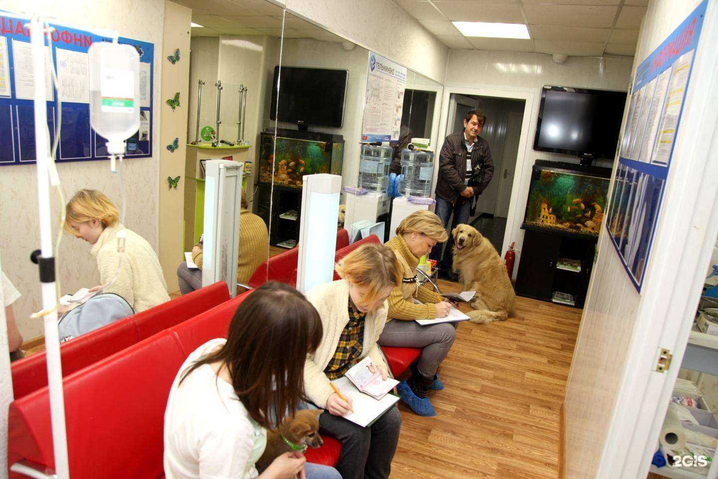 Отзывы на компанию Pegas в г. Красногорск c фото