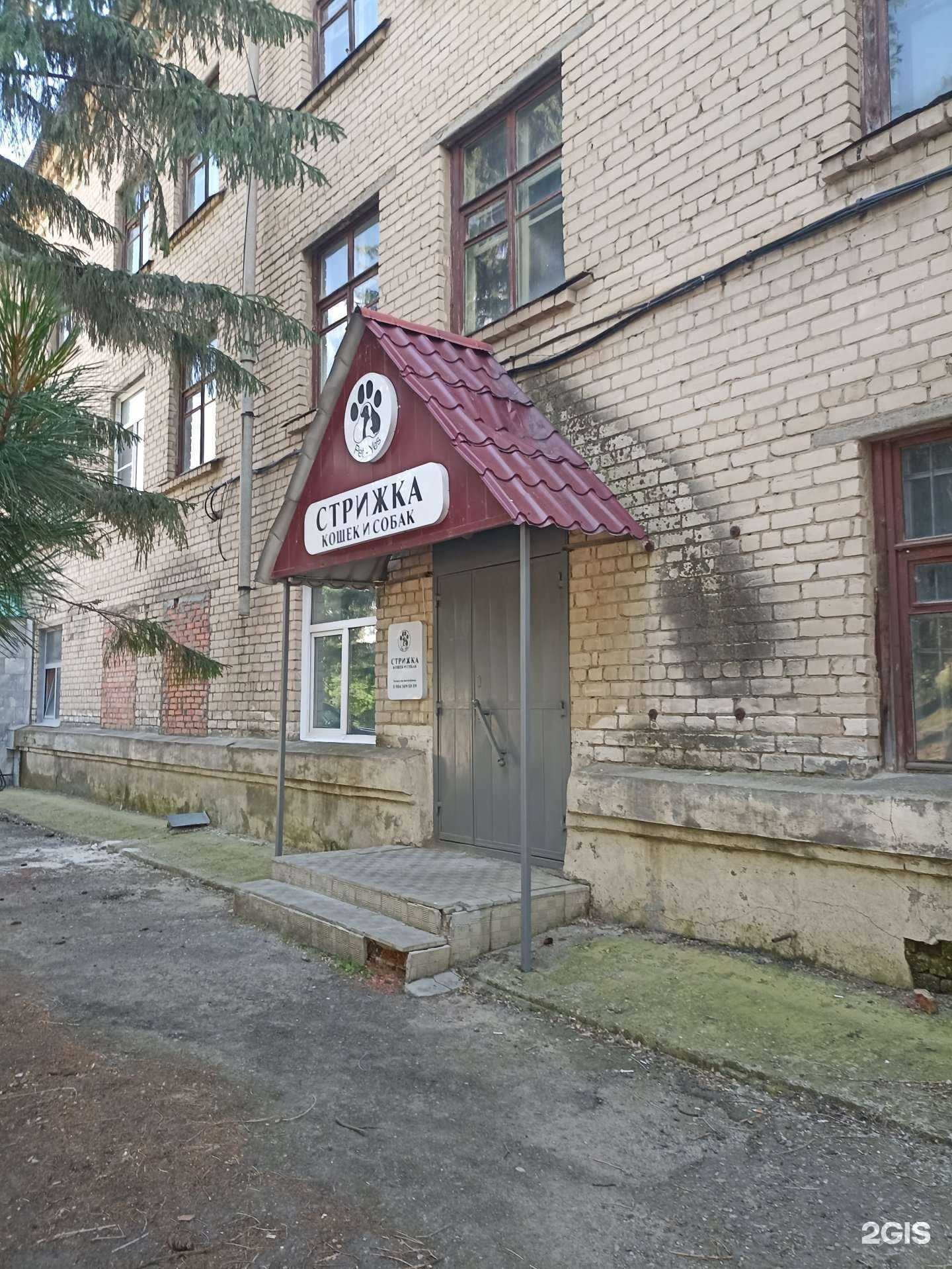 Отзывы на компанию Pet-Yes в Троицке c фото