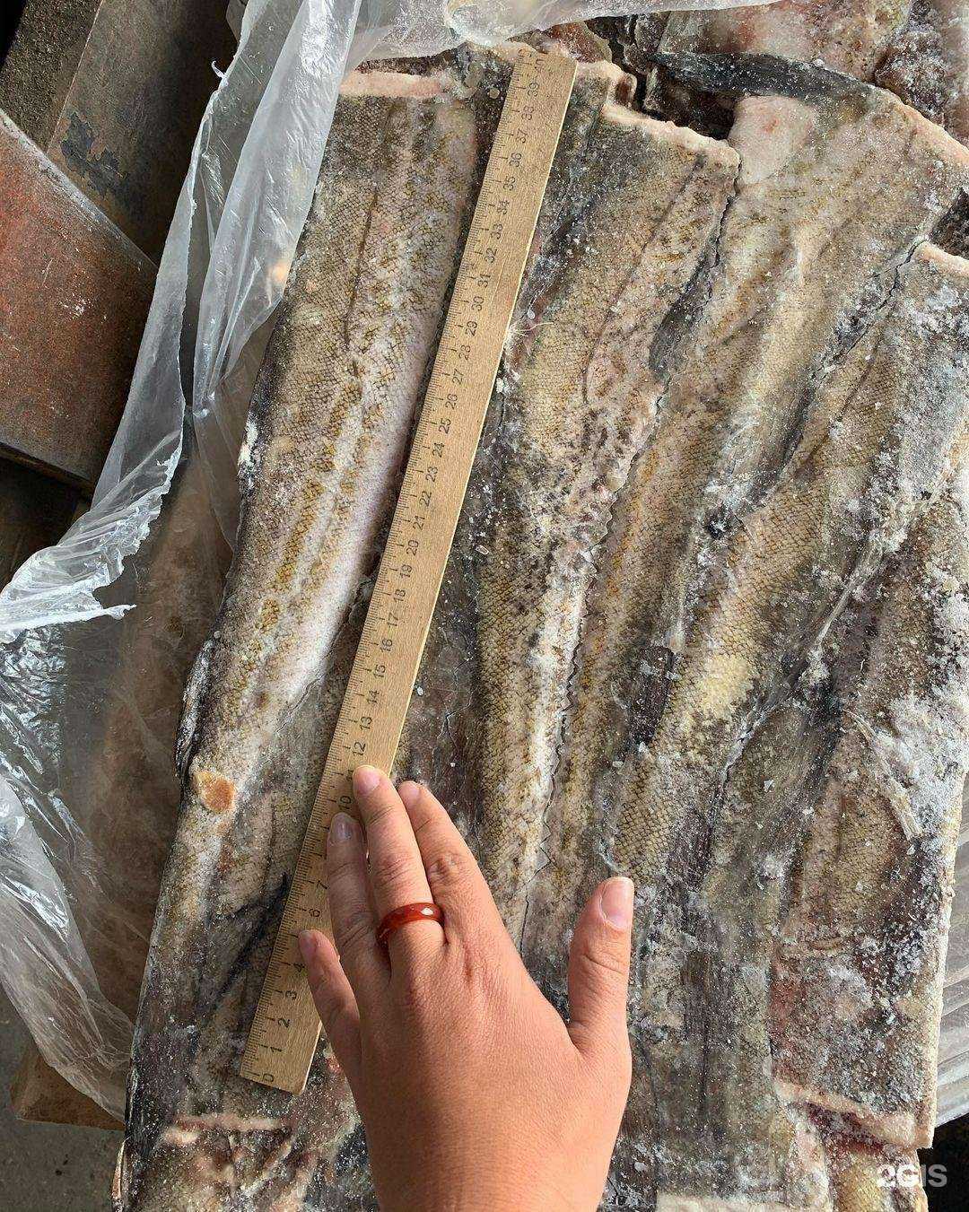 Отзывы на компанию Золотая рыбка в Самаре c фото