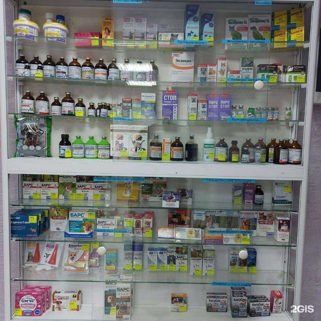 Отзывы на компанию Ветеринарный центр в Оренбурге c фото