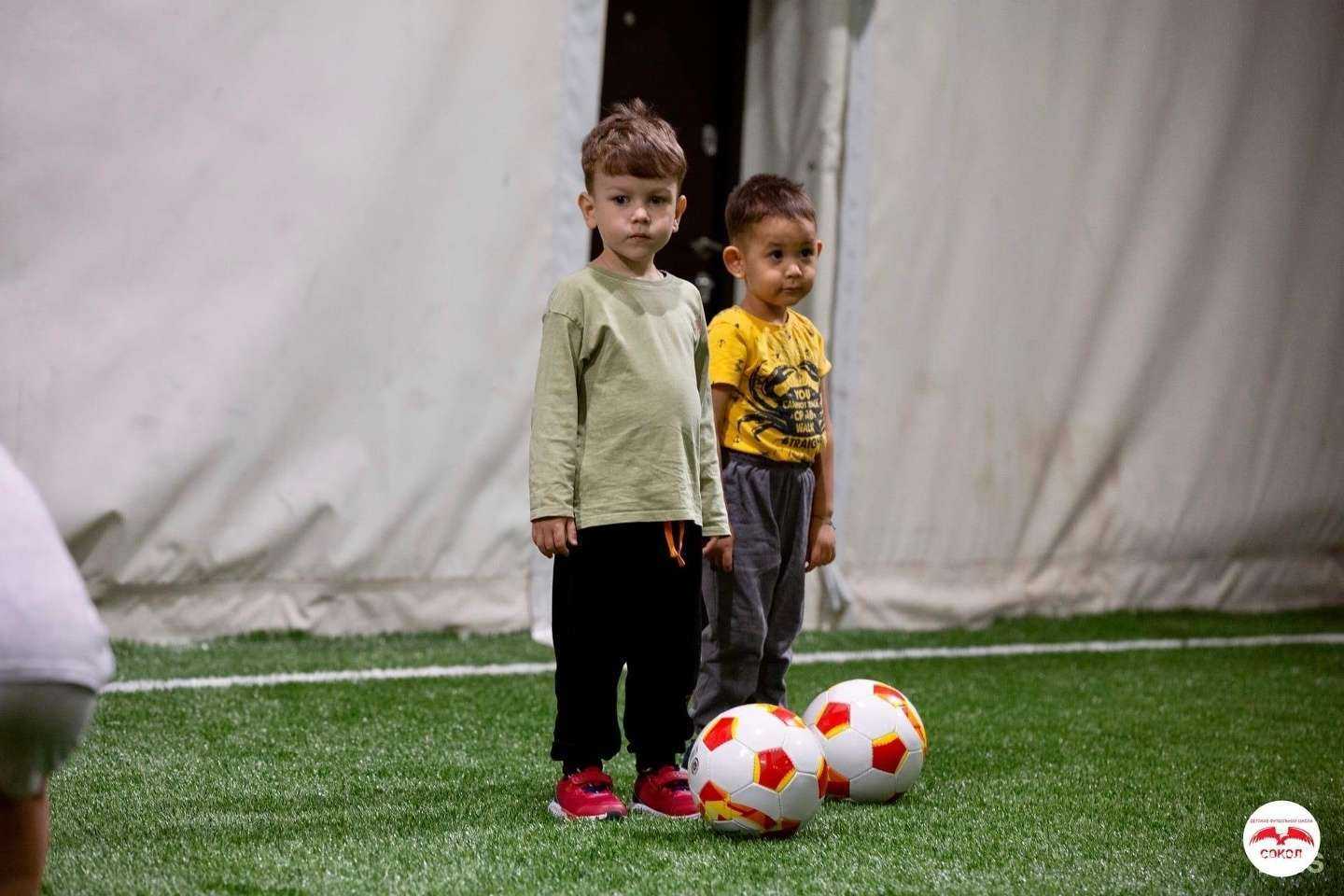 Отзывы на компанию Сокол в г. Казань c фото