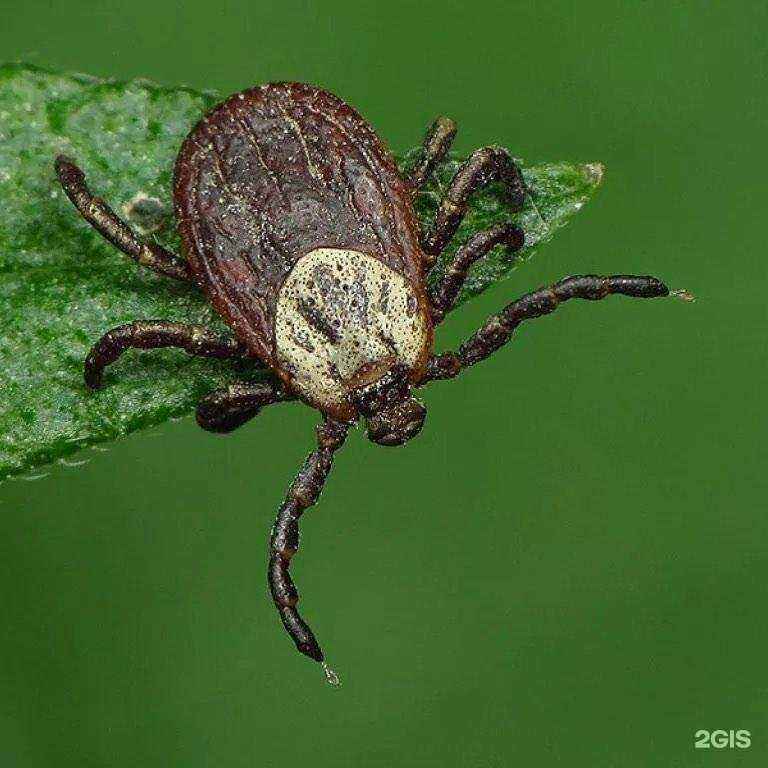 Отзывы на компанию Выберуавто.рф в Красноярске c фото