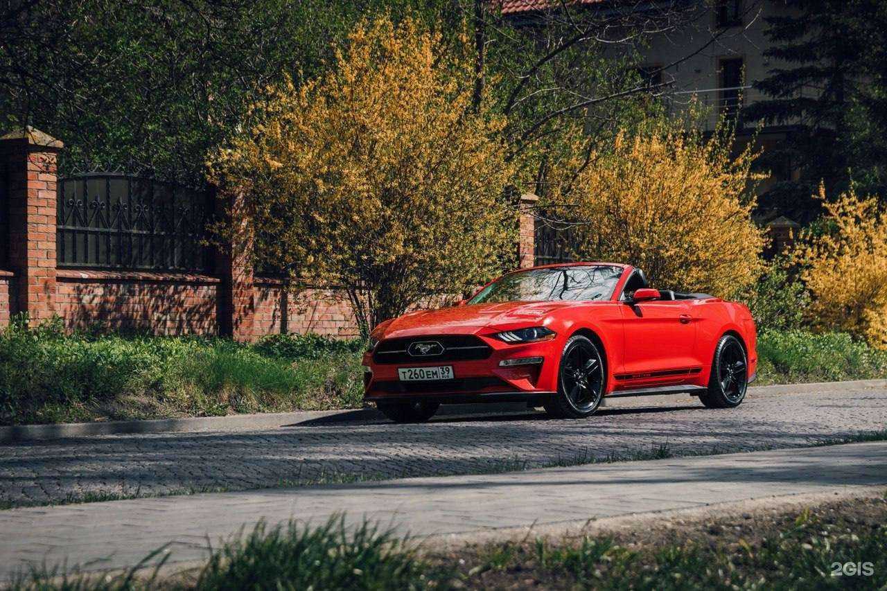 Отзывы на компанию Dream Drive в г. Калининград c фото