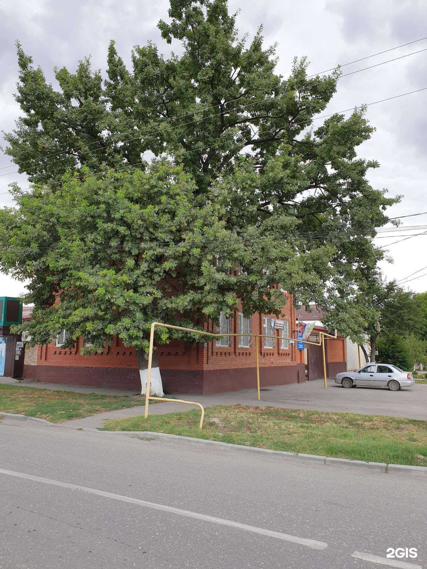 Отзывы на компанию Лисëнок в г. Грозный c фото