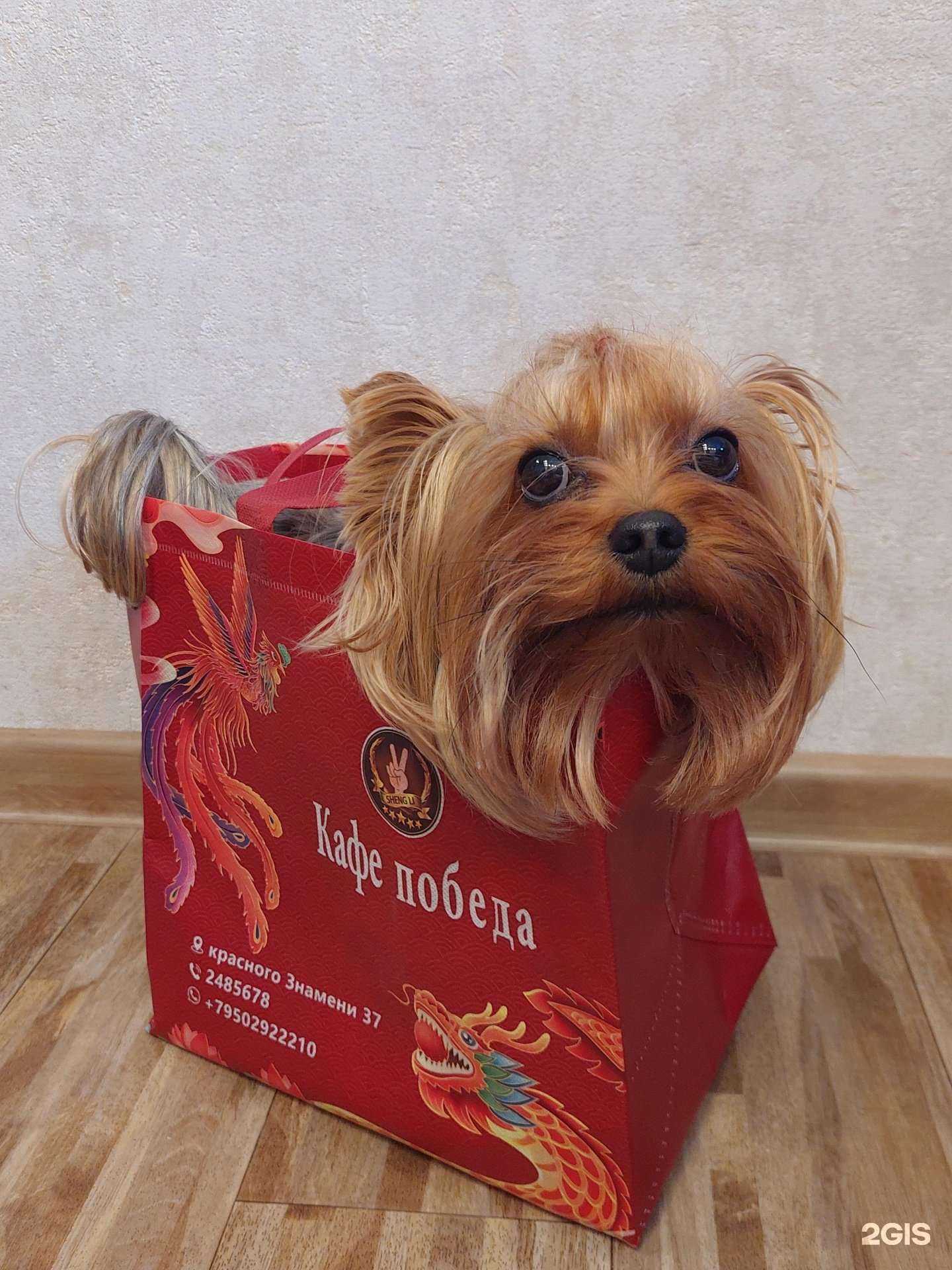 Отзывы на компанию Победа в г. Владивосток c фото