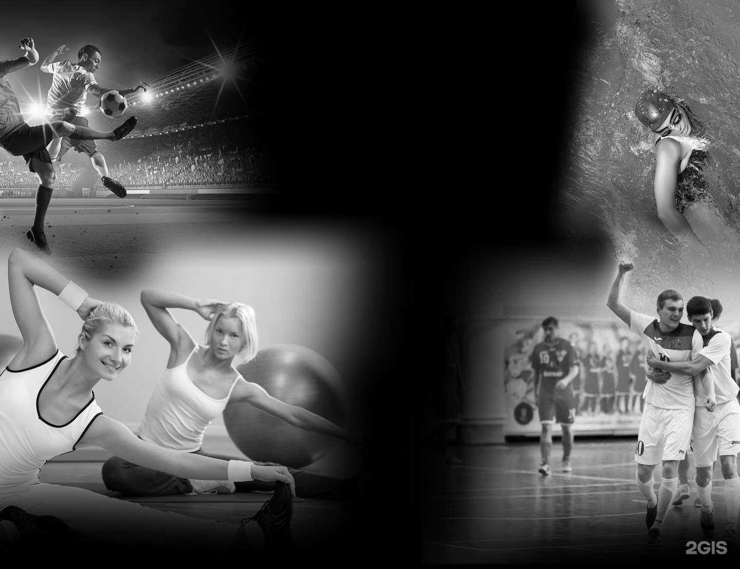 Отзывы на компанию Динамо в Вологде c фото