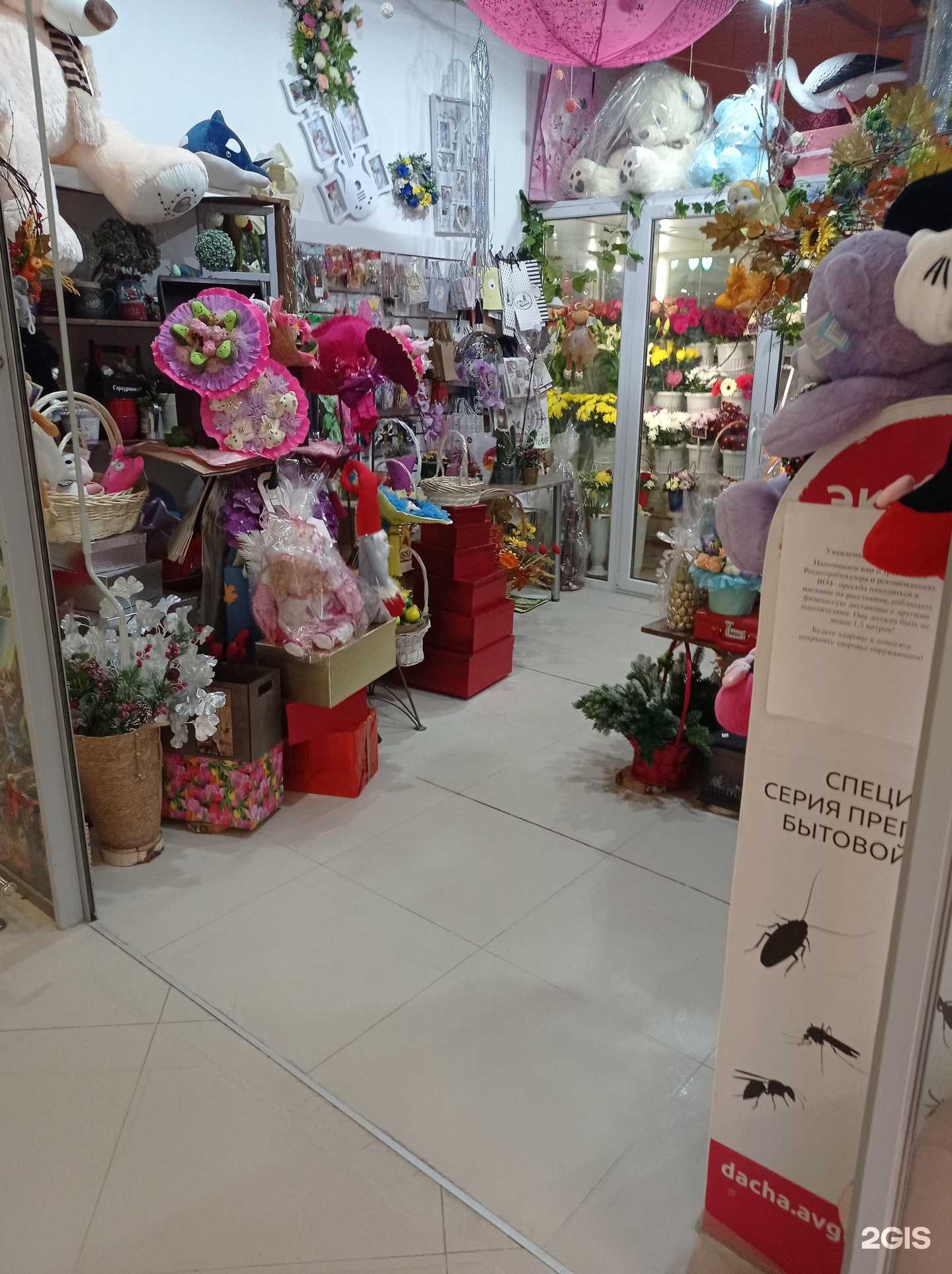 Отзывы на компанию Фея Флора в г. Гатчина c фото