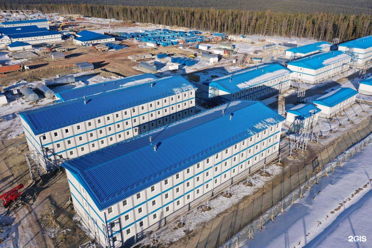 Отзывы на компанию Zlk dekor в Боре c фото