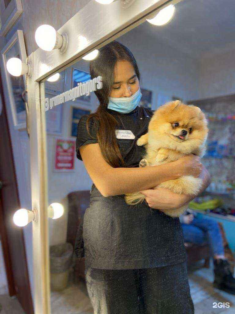 Отзывы на компанию ZooDiscount в Магнитогорске c фото